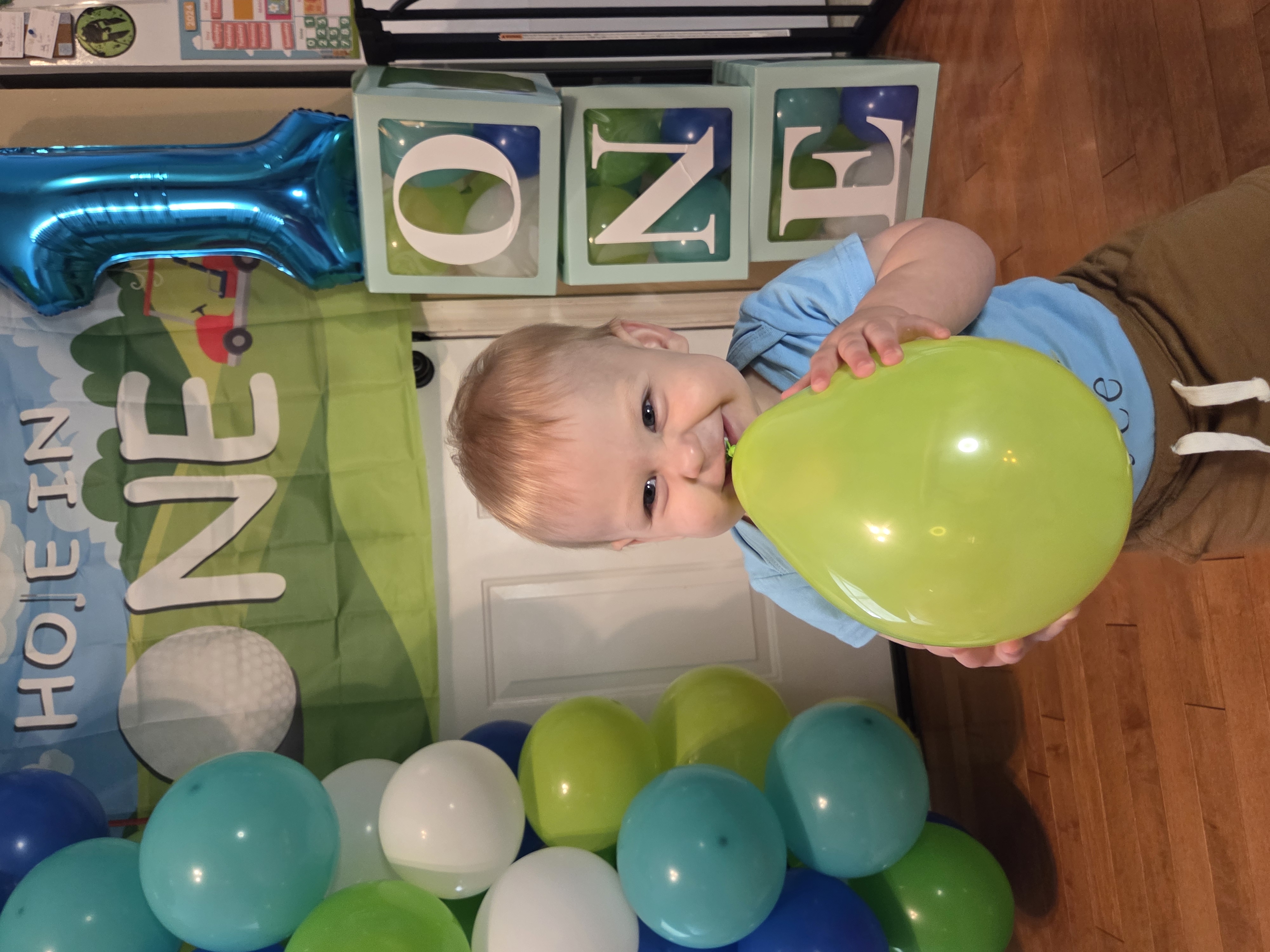 one year old blonde boy smiling on his first birthday